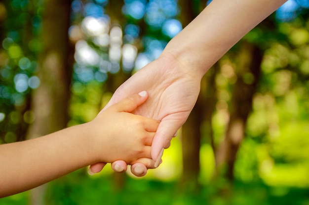 Handen Gelukkige ouders en kind buiten in het park