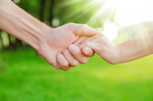 Handen Gelukkige ouders en kind buiten in het park