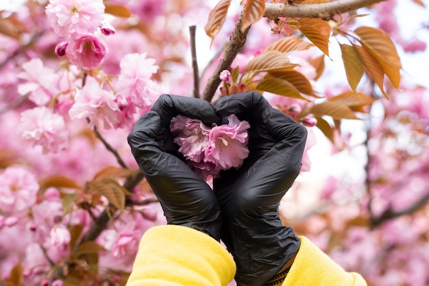 Handen in handschoenen die sakura bloeiende boom aanraken en hartteken maken