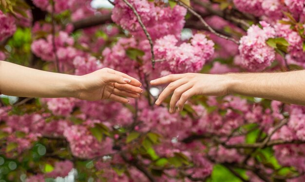 Handen lente liefdeshanden Geliefden paar hand in hand in een sakura Jong liefdevol paar hand in hand Jong verliefd paar De man houdt de hand van de vrouw vast Familierelaties