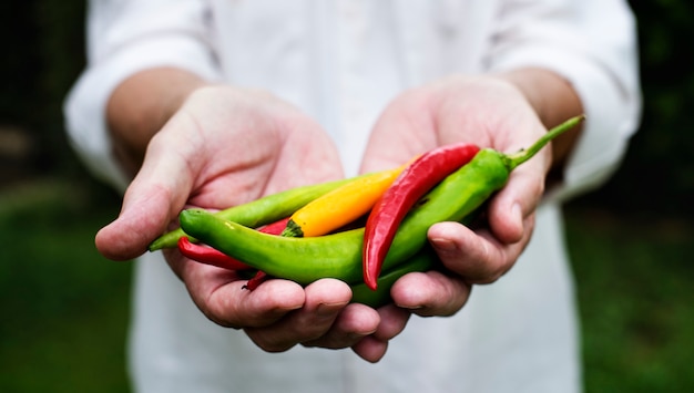Handen met chili biologische producten van boerderij