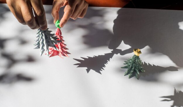 Foto handen met dennenboom gemaakt op papier die schaduwen maken met het licht van het raam