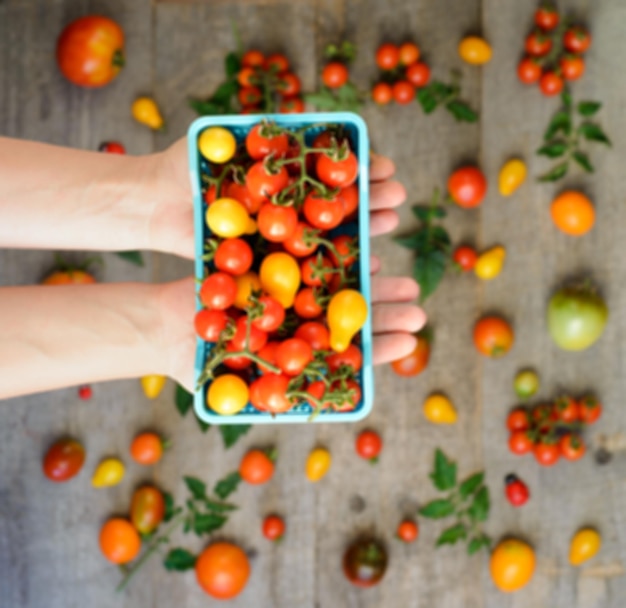 Handen met doos verse tomaten bovenaanzicht