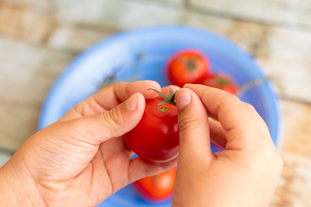 Handen met kersen tomaten