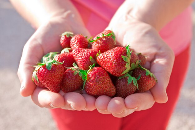 handen met stapel aardbeien