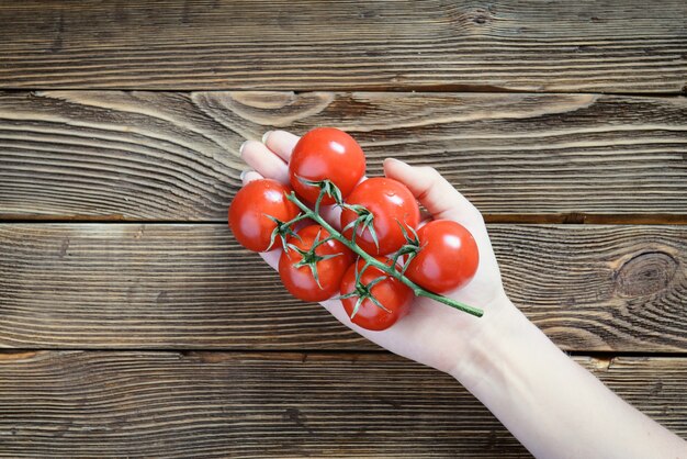 Handen met verse tomaten op houten rustieke tafel met natuurlijk licht. Bovenaanzicht.