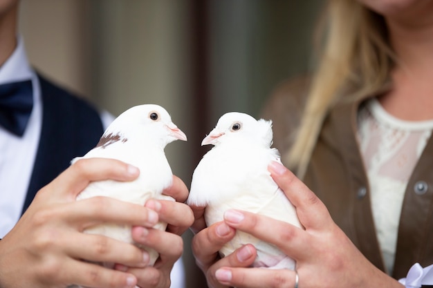 Handen van de bruid en bruidegom houden witte huwelijksduiven vast.