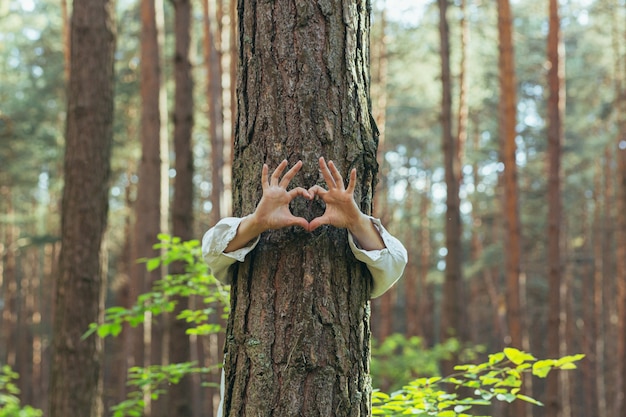 Handen van een jonge vrouw knuffelen een boom in het bos en tonen een teken van hart en liefde voor de natuur