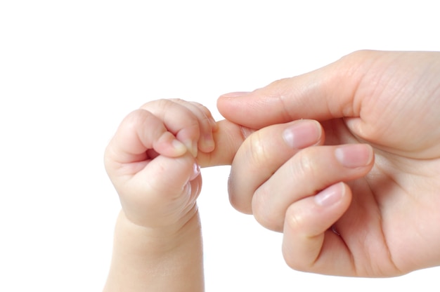 Handen van een kleine pasgeboren baby houden zich vast aan de vingers van haar moeders handen op een wit