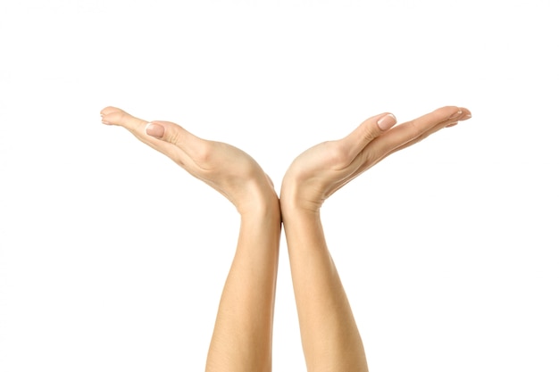 Handen vasthouden of meten. Vrouwenhand gesturing geïsoleerd op wit