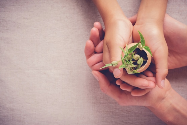 handen voor volwassenen en kinderen met zaailingplanten in eierschalen, eco-tuinieren, montessori educatie