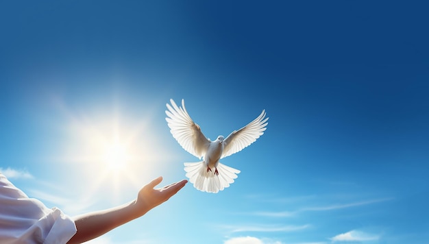 Handen vrijgeven van witte duiven in de blauwe lucht met zonsopgang tijdens zonsondergang Symbool van vrijheid en vrede