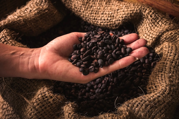 Handful of raw coffee beans in hand on dark background
