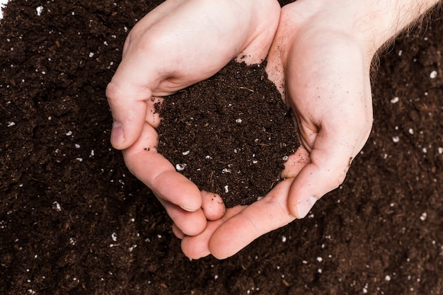 Handful of Rich Brown Soil