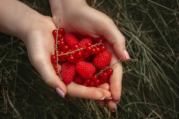 A handful of ripe juicy appetizing raspberries and red currants