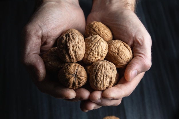 A handful of walnuts on the open hands