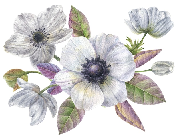 Handgemaakte compositie van witte anemoon en heldergroenpaars blad