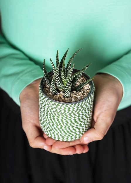 Handgemaakte plantenpot met een cactus in de kinderhanden.