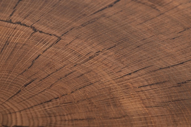 handgemaakte tafel gemaakt van natuurlijk iepenhout geïsoleerd op een witte achtergrond