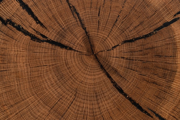 handgemaakte tafelclose-up gemaakt van natuurlijk iepenhout