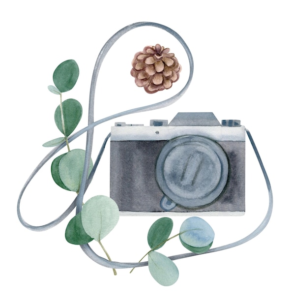 Foto handgetekende aquarel camera met eucalyptus en kegel