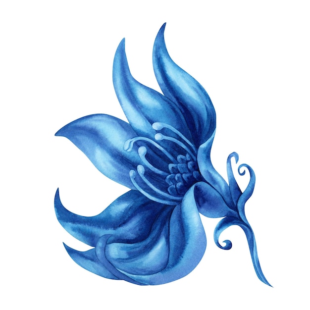 Handgetekende aquarel illustratie van abstracte blauwe fantasie bloem