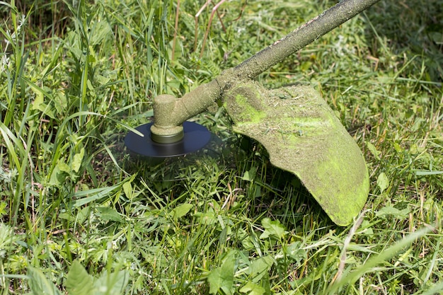 A handheld lawn mower mows the grass in the summer in the garden