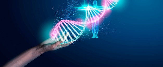 Handhoudende dna-representatie