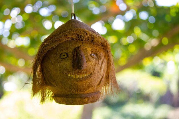 Handicraft with dry coconut carving its fibers mesocarp forming a human face