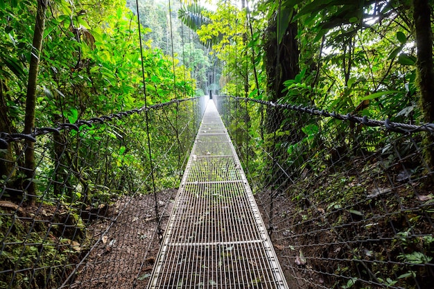 Handing Bridge in green jungle, Costa Rica, Central America