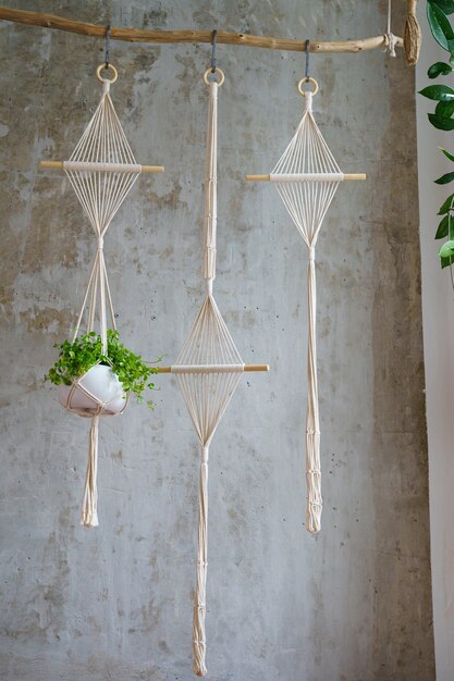 Handmade cotton macrame plant hanger hanging from wood branch over grey wall at home