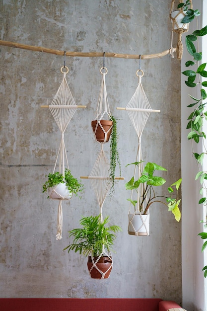 Foto hanger di piante di macrame di cotone fatto a mano appeso a un ramo di legno sopra una parete grigia a casa