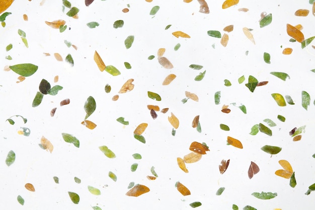 Photo handmade japanese paper with leaves texture background