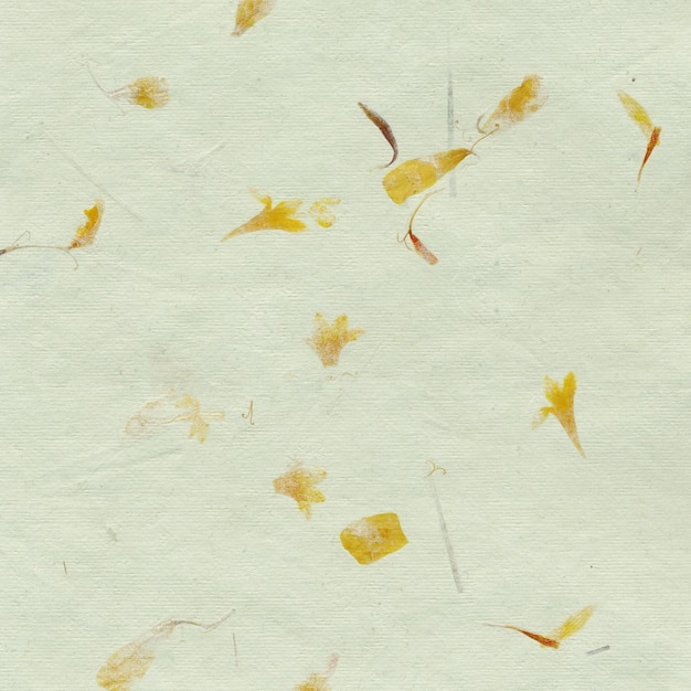 Handmade paper background with dried plants