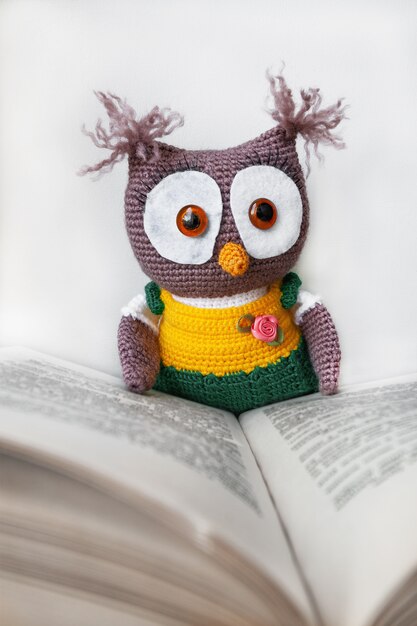 Handmade toy owl with an open book as a symbol of wisdom and knowledge