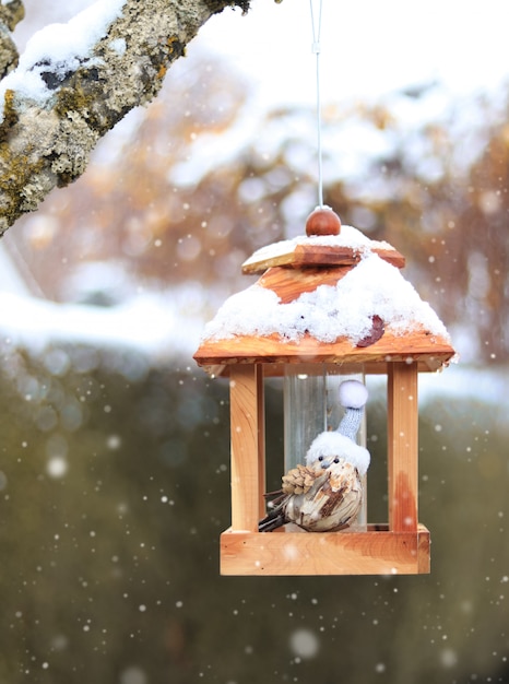 Handmade wooden craft bird in knitted hat on feeder in winter garden. First snow. 