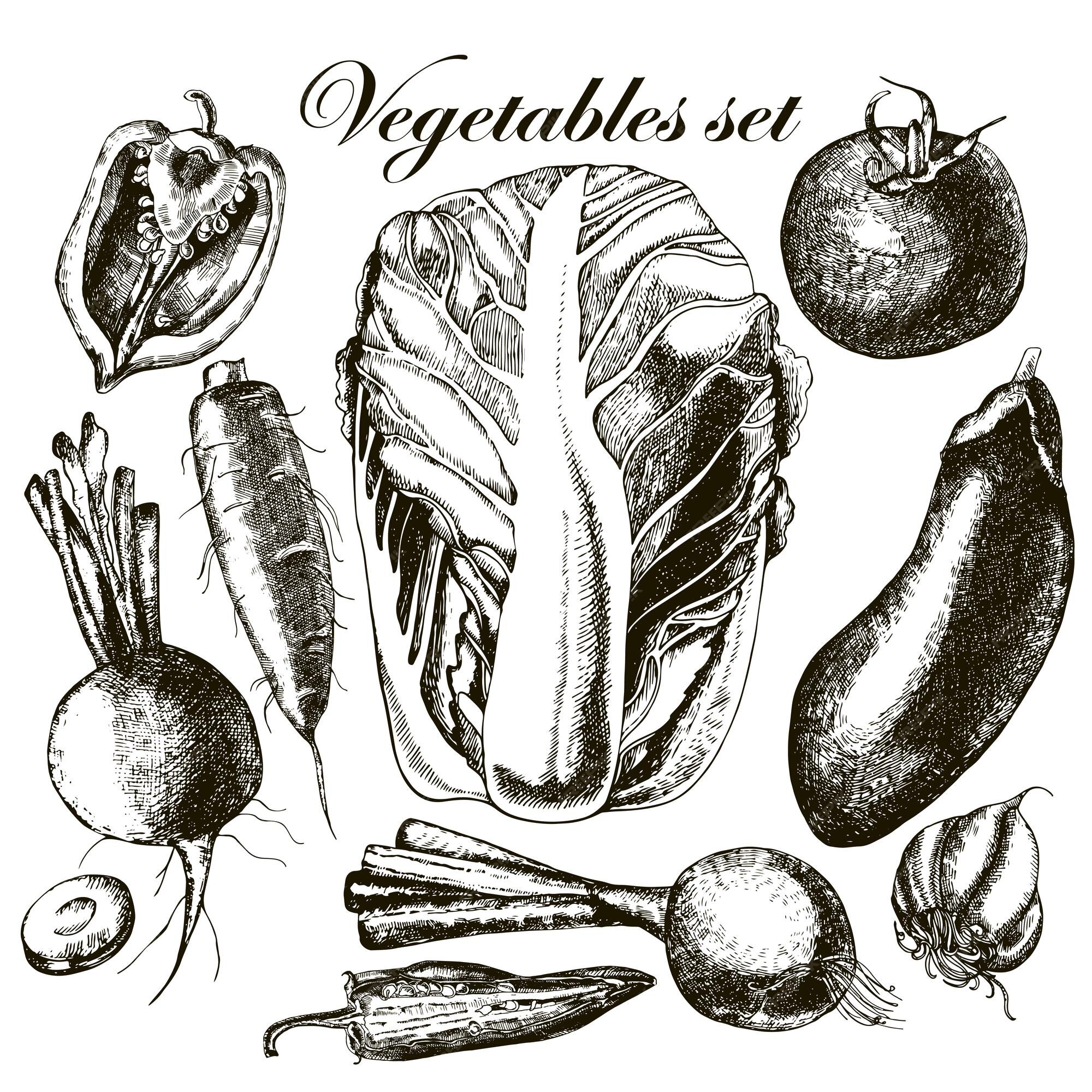 Freehand drawing vegetables. 586075 Vector Art at Vecteezy