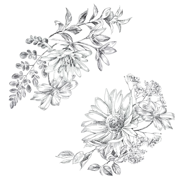 照片的手绘grapic花画。鲜花花束黑白插图。