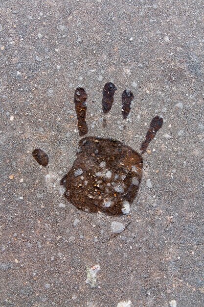 Handprint on ice