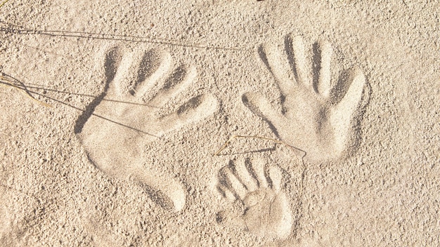 Handprints in the sand on the beach of the Baltic Sea