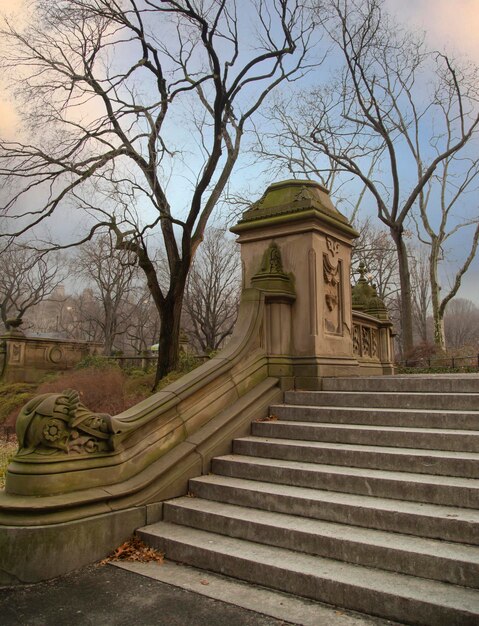 Handrail and stairs in Central Park