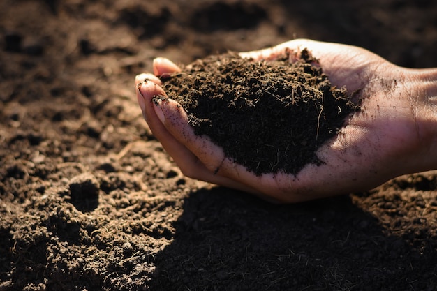 The hands of the agricultural men are picking the best soil for planting.