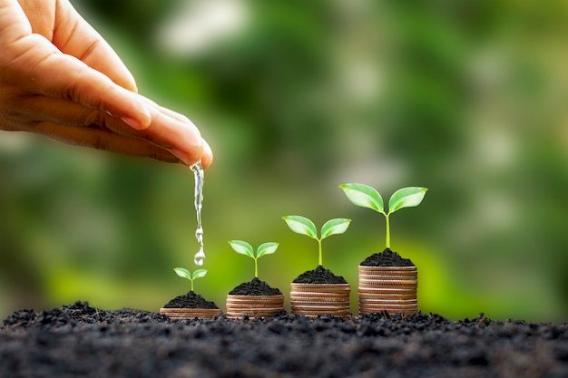ぼやけた緑の自然の背景、金融コンセプト、金融投資利益の中で、手は成長中の植物にコインで水をまきます。
