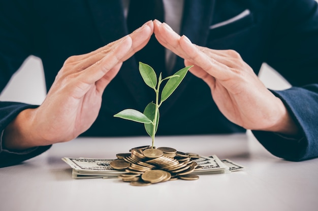 Hands of businessman protection plant sprouting growing from golden coins and banknotes