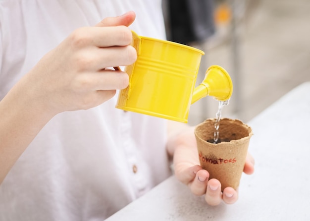 Hands of a caucasian teenage girl holding a yellow watering can\
with her hands and watering cardboard cups