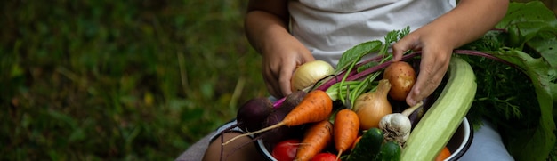 Foto le mani di un bambino contadino verdure in una ciotola in giardino