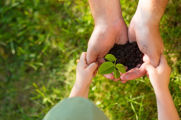 Hands of a child taking a plant from the hands of a man. concept eco earth day