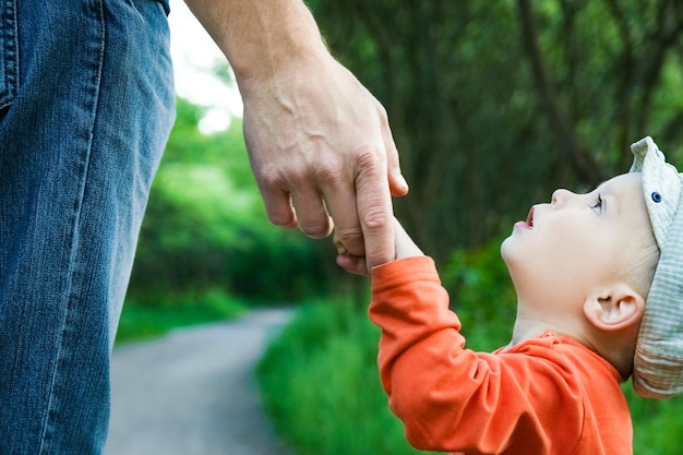 Hands child with a parent