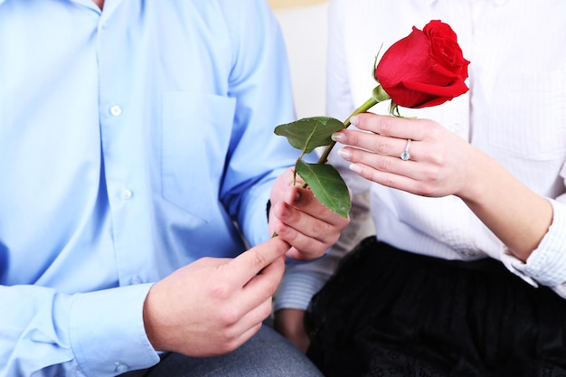 Hands of couple in love with red rose, closeup