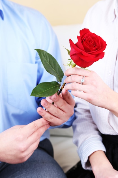 Hands of couple in love with red rose, closeup